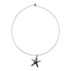 Pendant on a metal string, star, color-gold